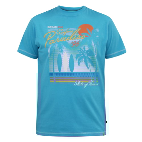D555 Aaron Surfers Paradise bedrucktes T-Shirt mit Rundhalsausschnitt, Türkis